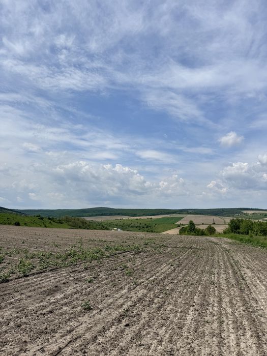 продаж земельної ділянки під забудову Сатанів