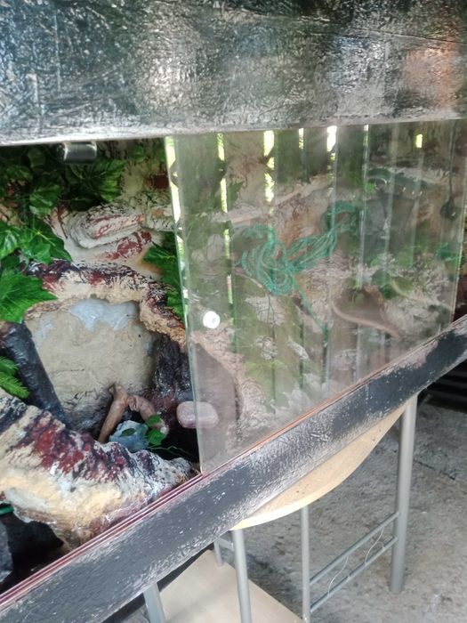 Terrarium dla gadów