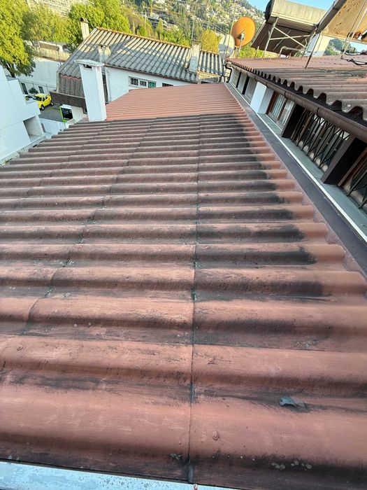 Limpeza de Muros e Telhados – Serviço Profissional