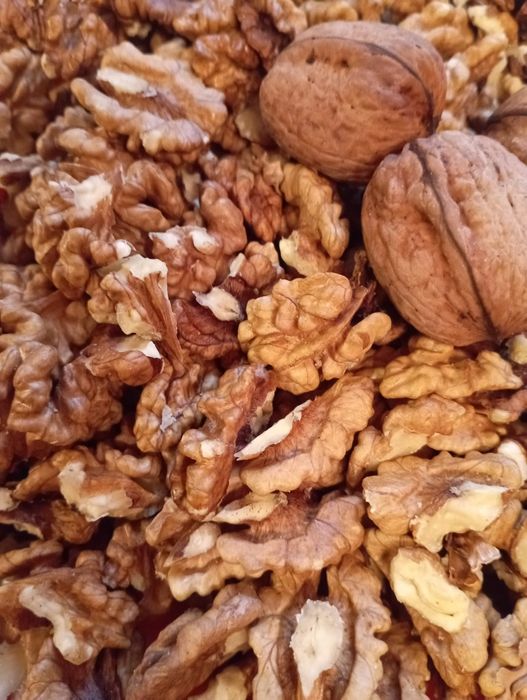 Горіх волоський(грецький)домашній.Урожай 2025!