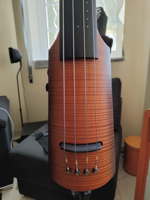 Contra Baixo Elétrico-NS Design NXT4a + Tripé (Stand) + Arco em carbon