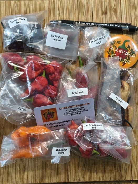 Caixas de malagueta fresca ardência baixa