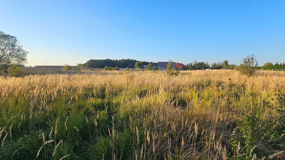 Sprzedam działkę budowlaną w Mrowinie z pozwoleniem na budowę - Widok 5