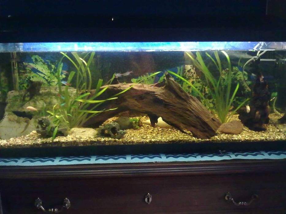 Aquário Aquatlantis 100lt e Filtragem Biobox 2 (Completo)