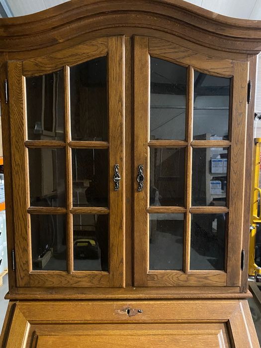 Sekretarzyk holenderski