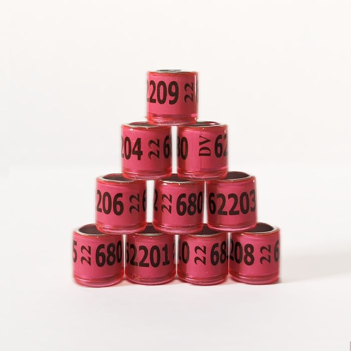 Obrączki dla gołębi DV 2022 - 30szt