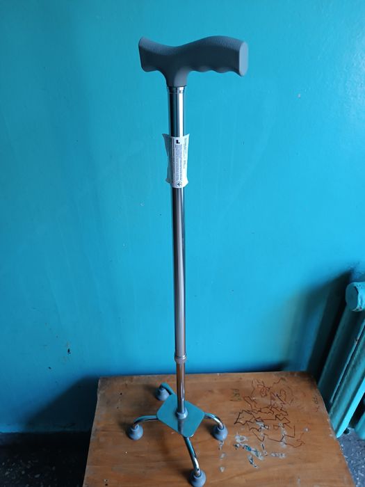 Палиця (тростина)