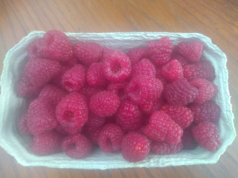 Sprzedam maliny .