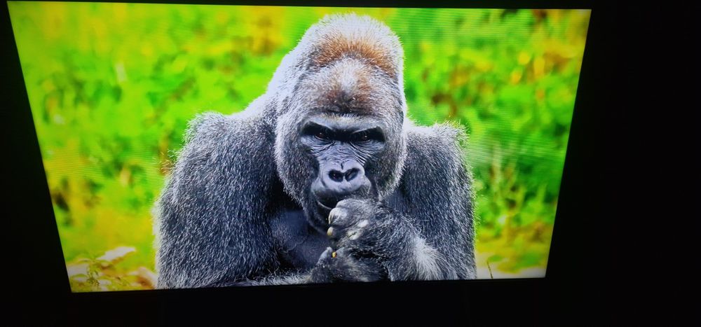 Tv Led android 40cali