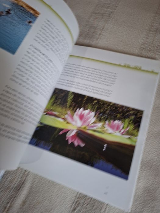 Livro Construir Piscinas Biológicas