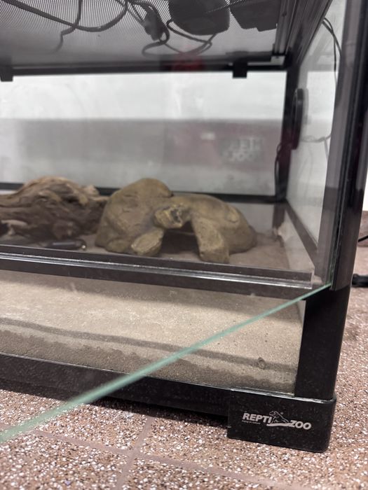 Terarium Repti Zoo- 60x45x32