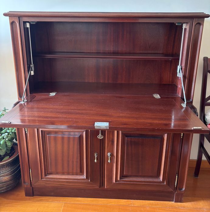 Móvel em Mogno (Bar)