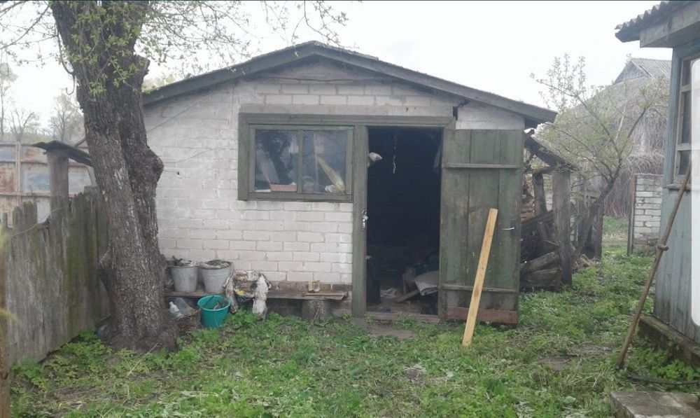 Продам дім /дачу/ в с.Ладинка Чернігівьська обл.,траса Київ-Черніг