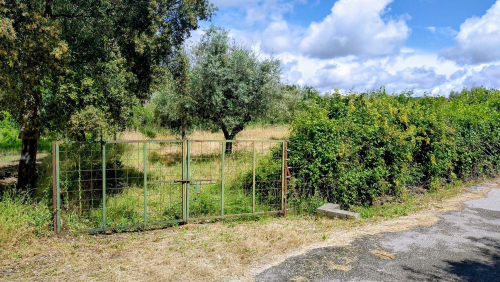 Terreno rustico 500m2 em Touloes Idanha-a-Nova