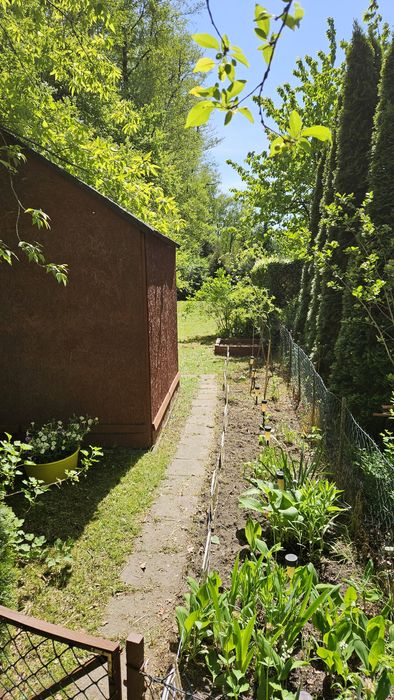 Działka ROD Wisienka, Teofilów, Łódź