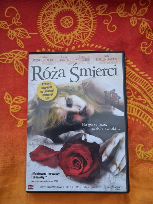 Zestaw filmów DVD VCD
