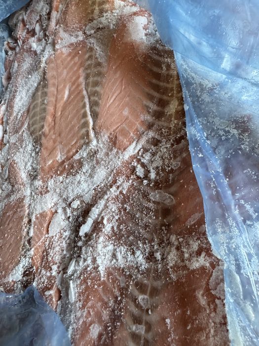 Лосось обрізь з спини