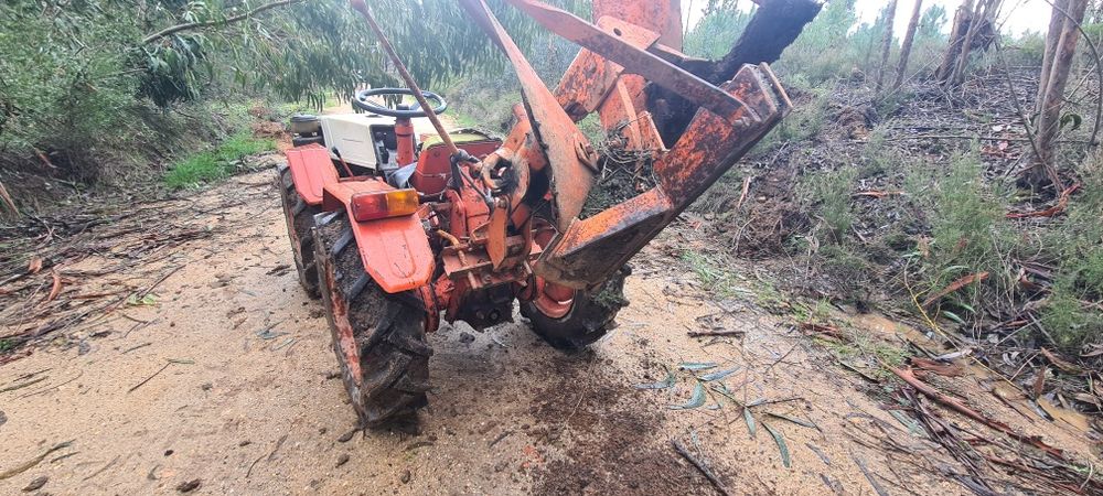 Trator Pasquali 21cv.