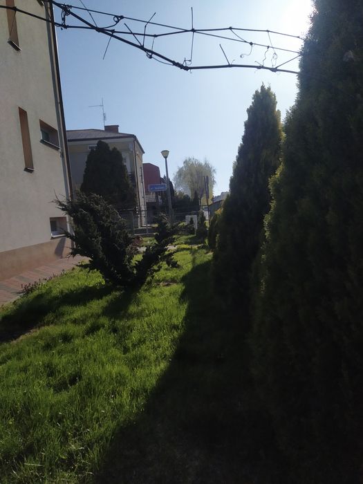 Wynajmę mieszkanie