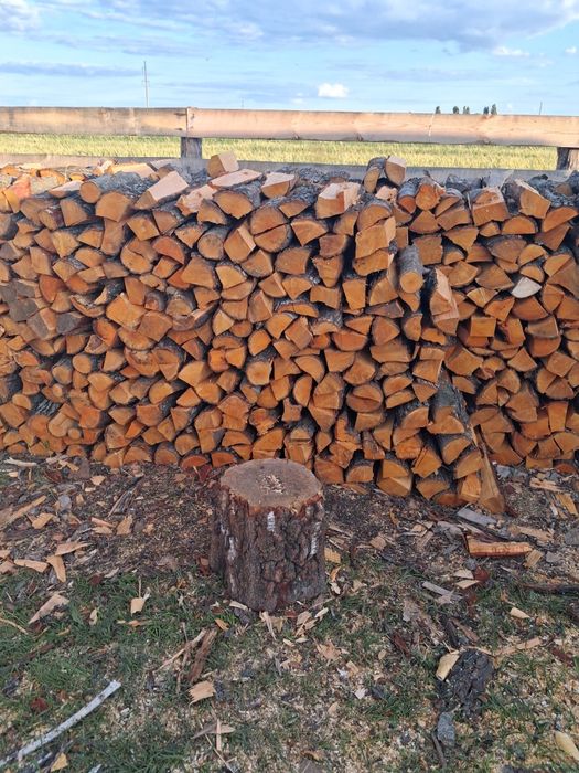 Купить дрова різних порід з адекватною ціною та швидкою доставкою
