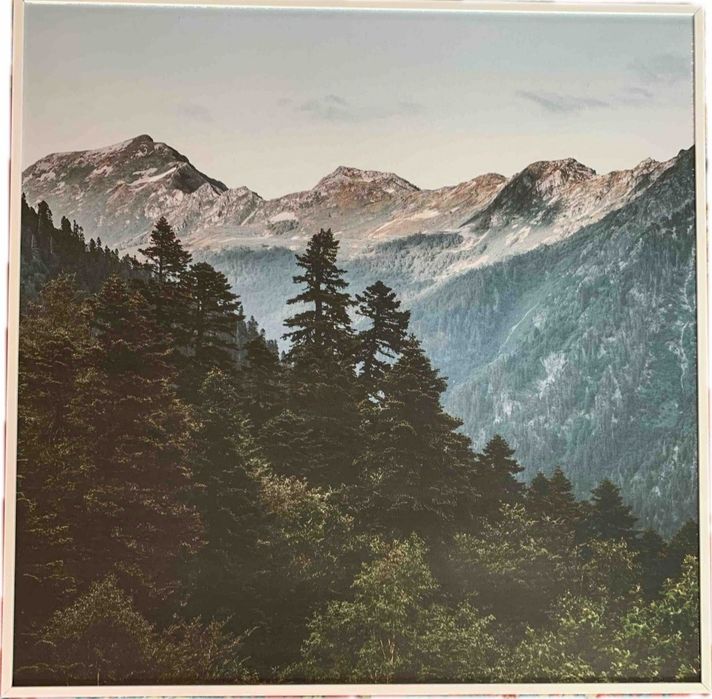 Обігрівач інфрачервоний