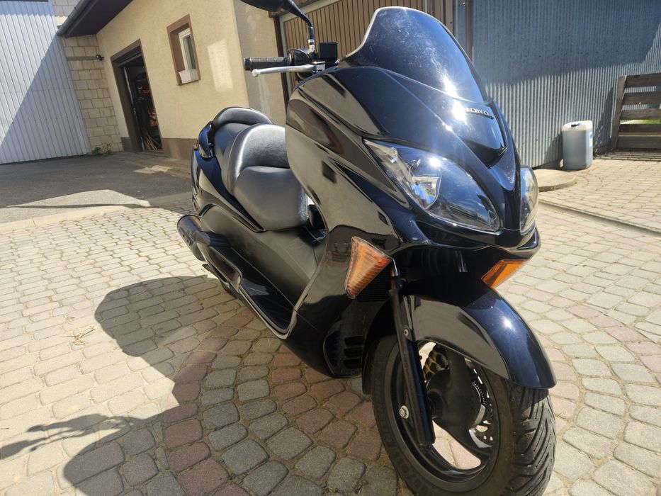 Honda forza 250 automat 2005r.