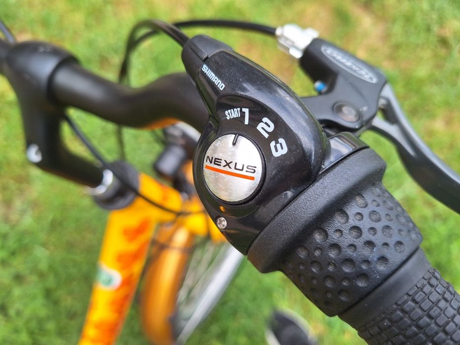 Rower marki Bergamont