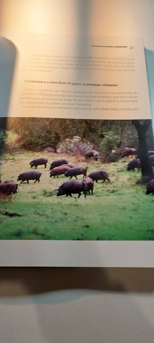 Dieta Mediterrânica - Jorge Queiroz