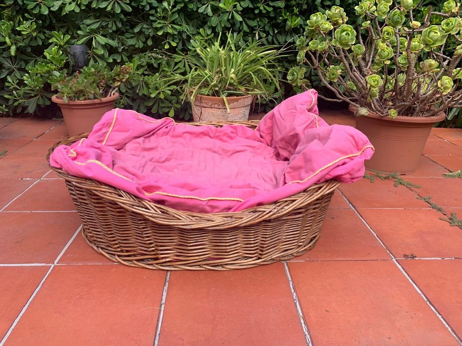 Cama em verga para cão