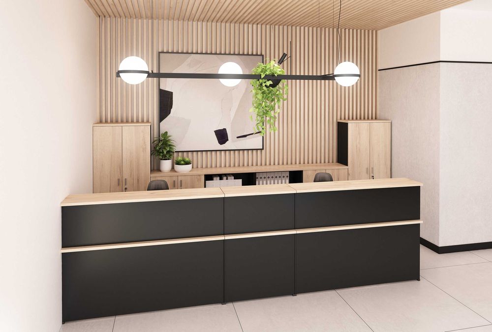 Lada recepcyjna meble od producenta