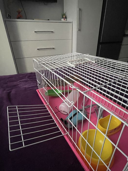 Клітка для щура/хомʼяка + набір аксесуарів(поїлка,миски,повідок,міст)