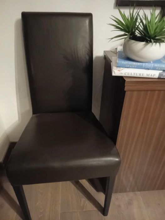 Cadeira adulto eco pele