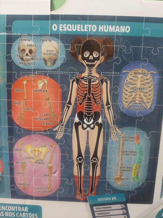 Jogo o Corpo Humano ao RX da Headu