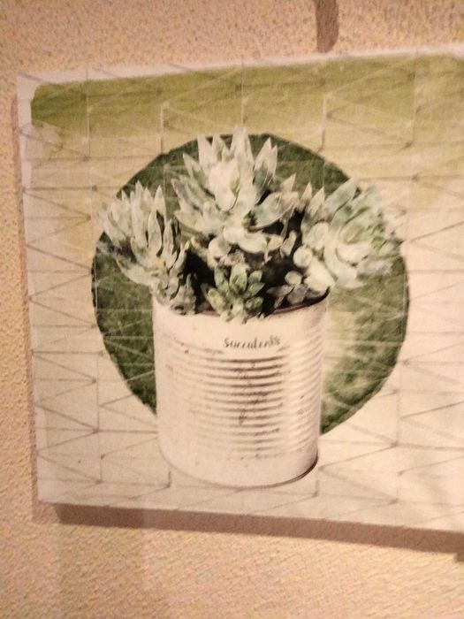 Telas de plantas e auculentas