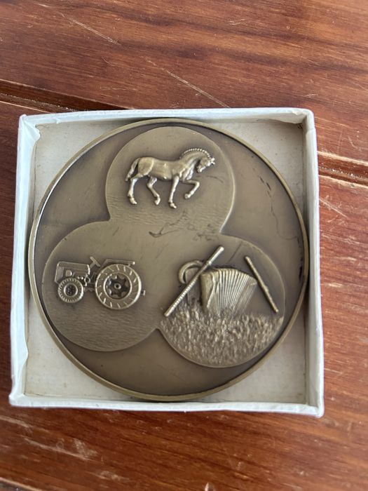 Lote de 15 medalhas comemorativas em bronze