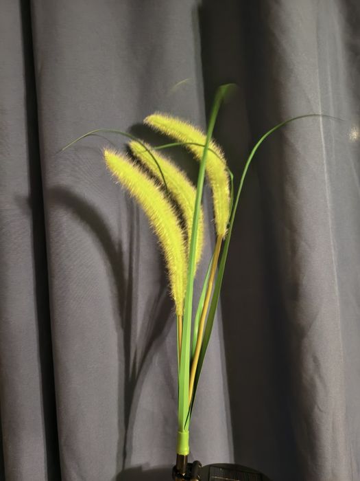 Setaria trawa lampka solarna hit lata sztuka roślina ozdoba na lato
