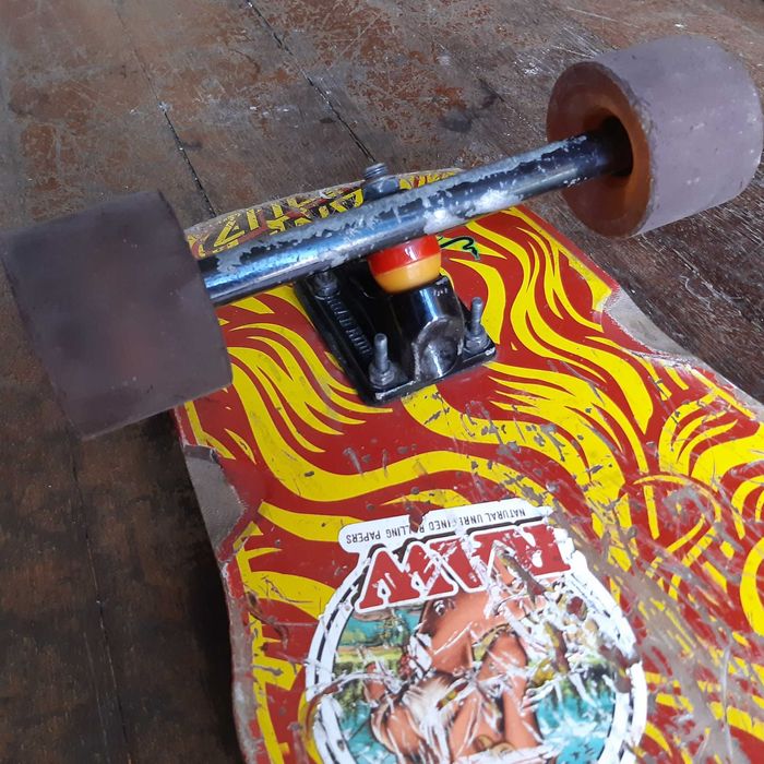 Skate Longboard Fish Santa Cruz Hera Road Rider a Rolar Bem