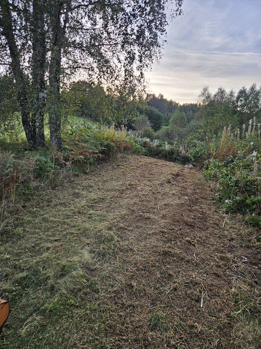 czyszczenie oczyszczanie działek nieużytków