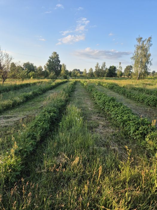 Продам будинок в с. ХРЯСЬК - View 4