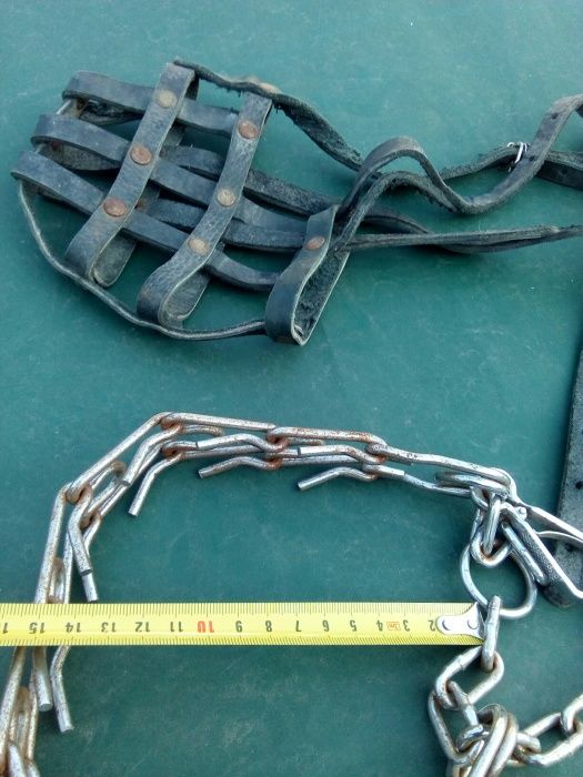 Строгач ошейник, намордник