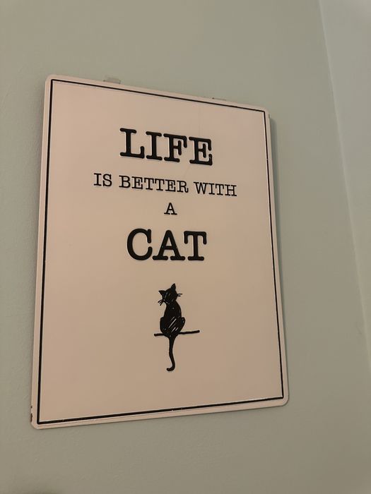 Placa Gato Preto