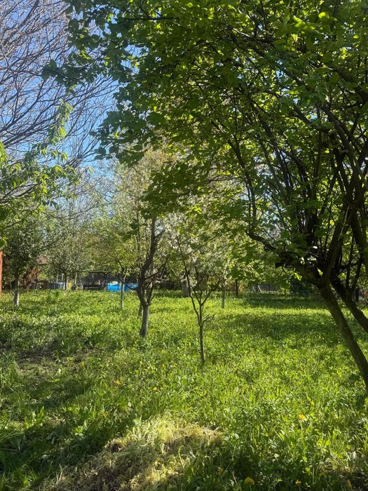 PROMOCJA Dwie połączone działki ROD Mandragora Saska Kępa - razem 1000 m² - Widok 3