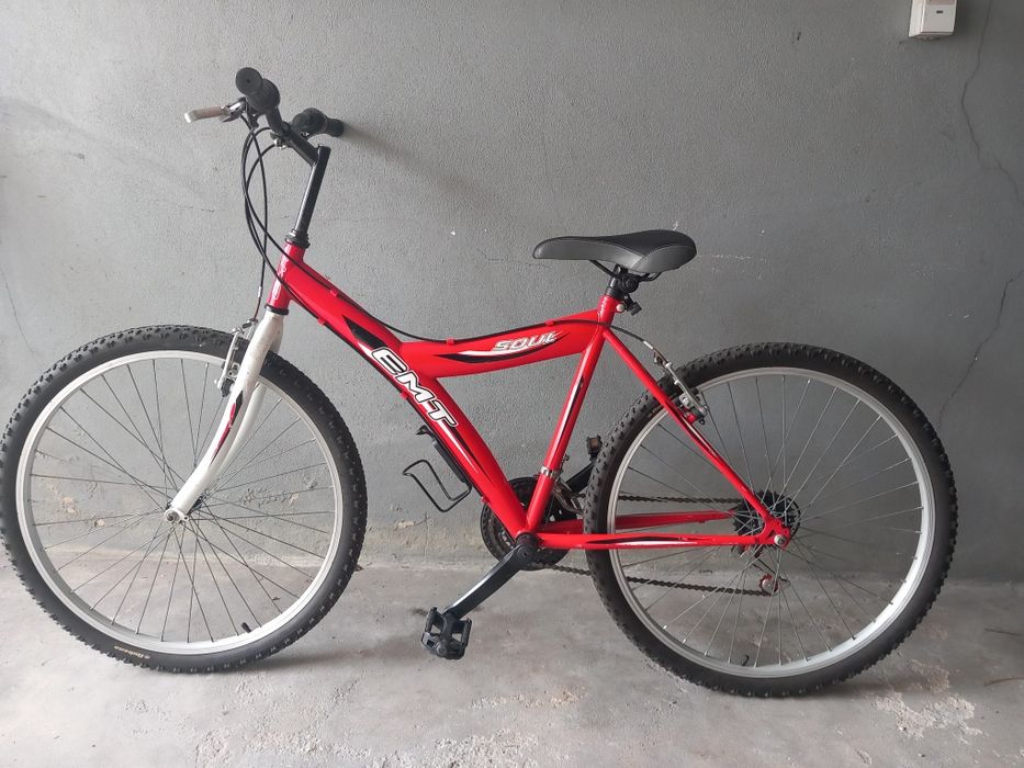 Bicicleta adulto