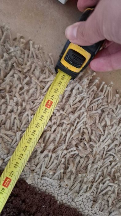 Carpete em bom estado