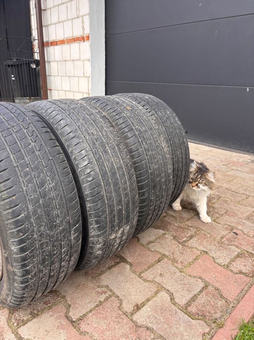 Opony lato i zimna 16 cali + plus felgi