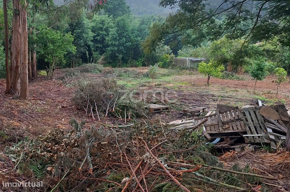 Terreno, Luso