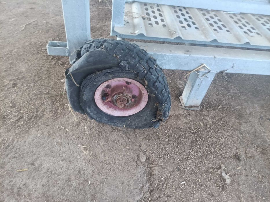 Balança móvel analógica para ovinos / caprinos