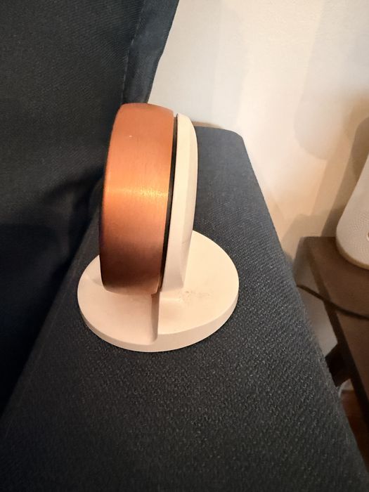Google Nest Learning Thermostate