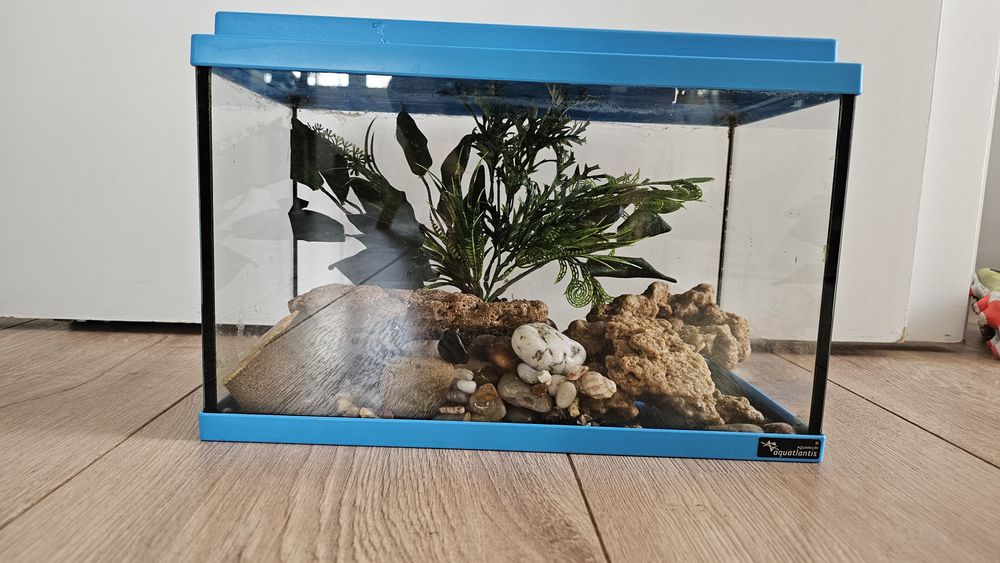 Aquarium Fish 16L