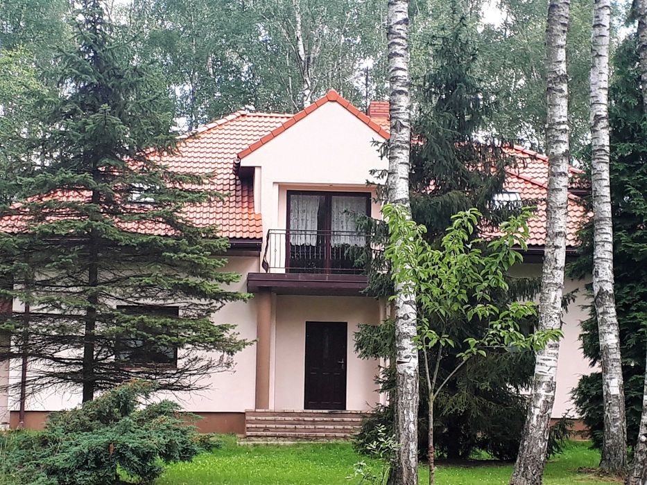 dom do wynajęcia